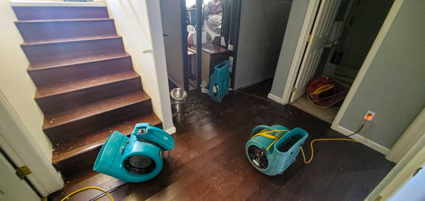  Fort Stewart, GA Water damage restoration Pros