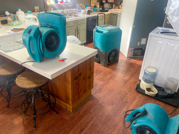 Best Professional water damage repair  in Fort Stewart, GA