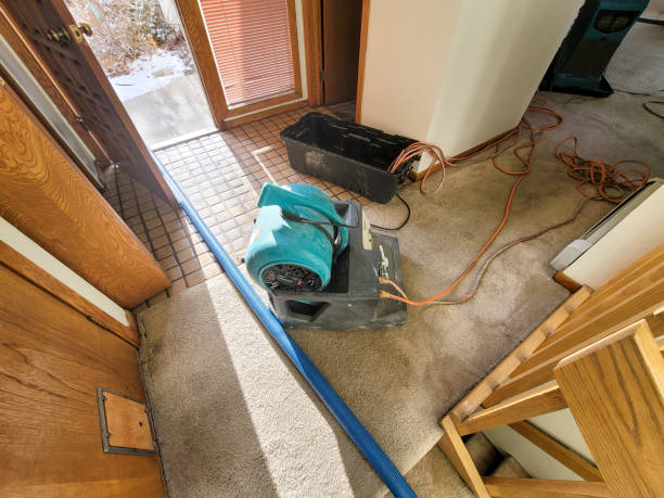 Best Flooded house restoration  in Fort Stewart, GA