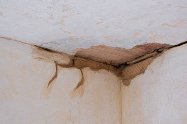 Best Commercial water damage restoration  in Fort Stewart, GA