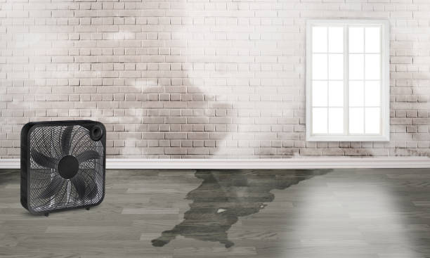 Best Flood damage cleanup  in Fort Stewart, GA
