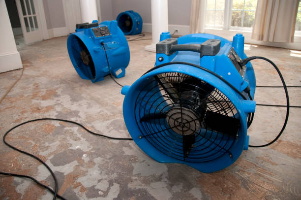 Best Carpet water damage restoration  in Fort Stewart, GA