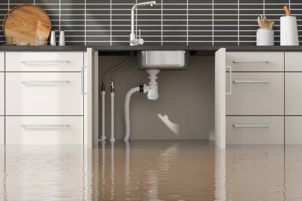 Best Sewage cleanup and water damage restoration  in Fort Stewart, GA