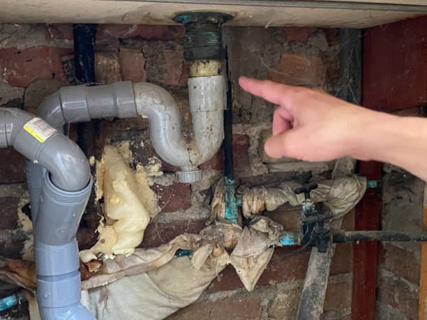 Best Professional water damage repair  in Fort Stewart, GA