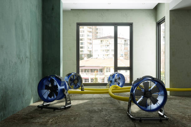 Best Water damage cleanup near me  in Fort Stewart, GA