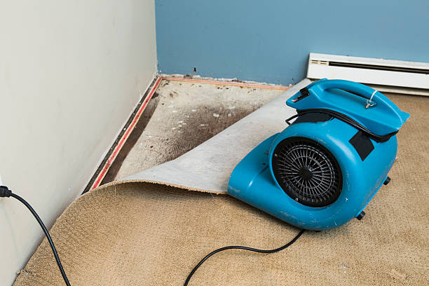 Best Fire Damage Restoration  in Fort Stewart, GA
